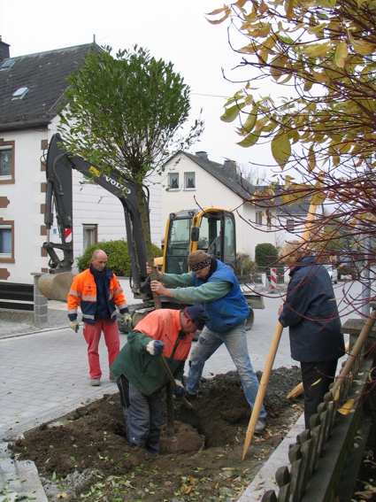 Zurck zum Bericht